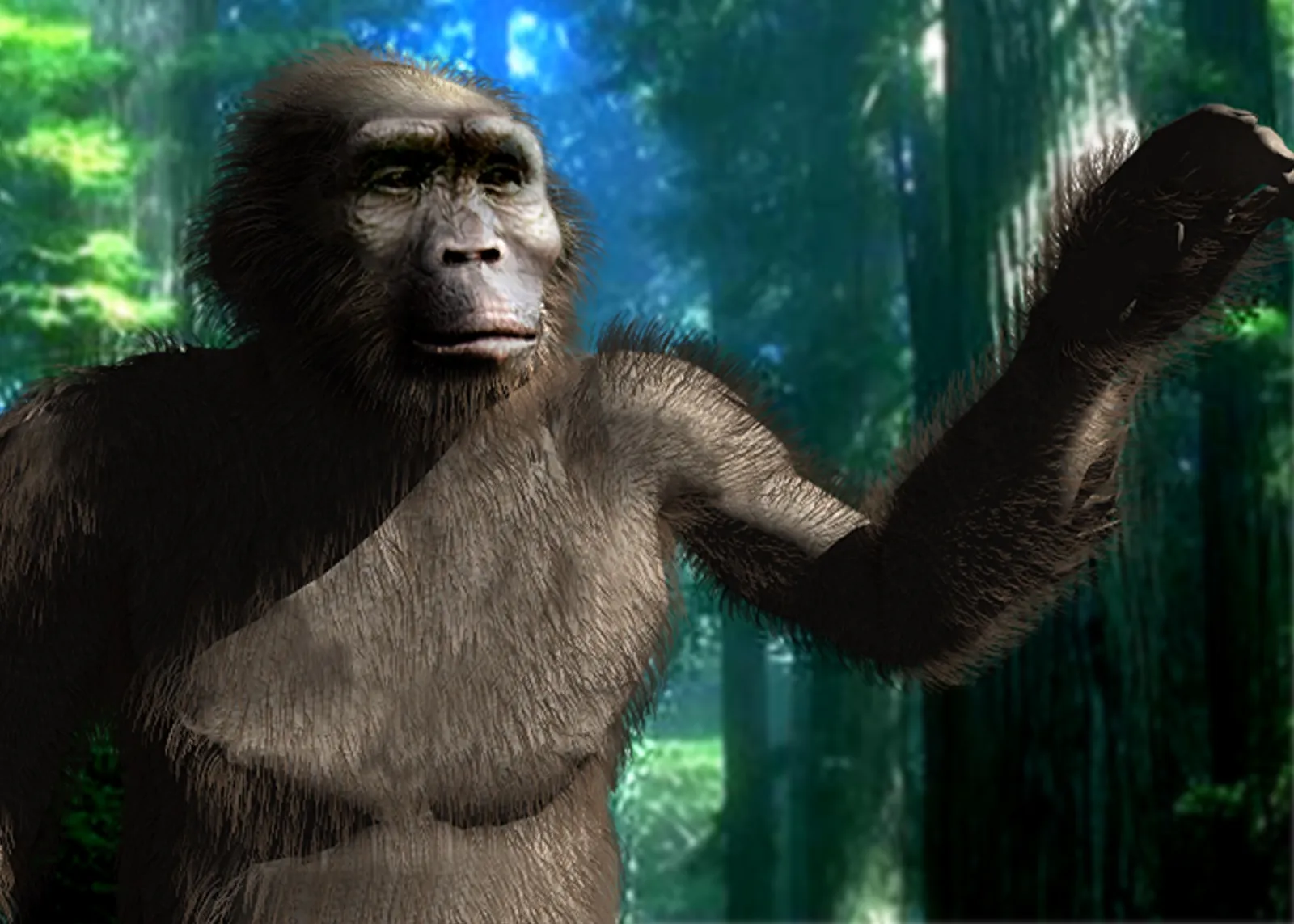 Reconstruction of a Paranthropus, a robust early human relative with a broad face and heavy brow, raising one arm in a sunlit forest